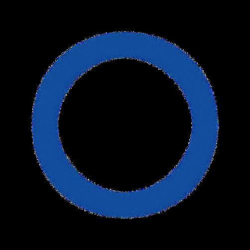 Mr. Taopheek Babayeju